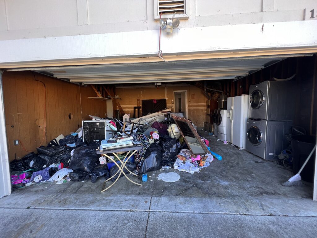 Junk Removal